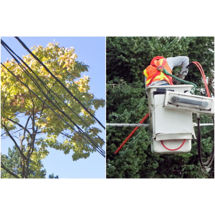 O Z N Á M E N I E  -  výrub porastov ohrozujúcich vedenie 22 kV 